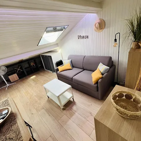 Appartement Charmand Mansarde Dans Le Centre De