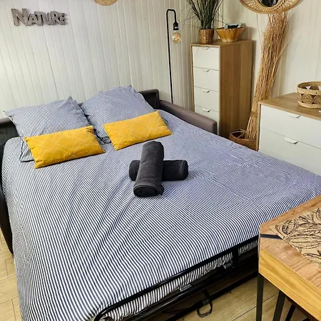 아파트 Charmand Mansarde Dans Le Centre De 칸느