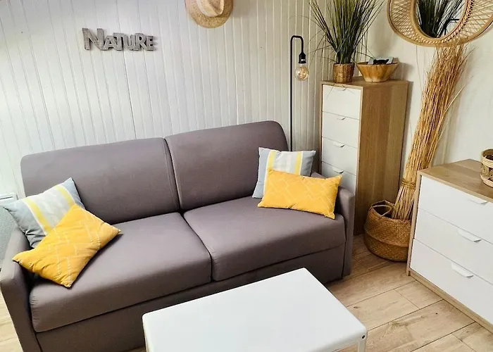 Charmand Mansarde Dans Le Centre De * カンヌ